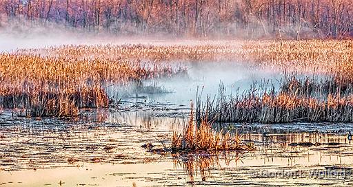 Misty Swale At Sunrise_P1110125-7.jpg - Photographed along the Rideau Canal Waterway at Smiths Falls, Ontario, Canada.